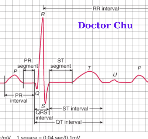 Khoảng PQ là gì? Ý nghĩa khoảng PQ khi đọc điện tâm đồ